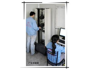 恒盛-抗拉强度、弹性模量、伸长率检测仪器