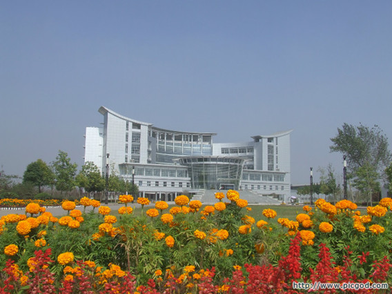 淮阴师范学院加固选恒盛碳纤维布