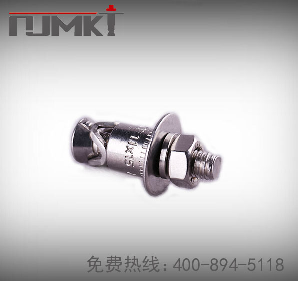 NJMKT恒盛316不锈钢敲击式背栓MKT-UA/S/F4