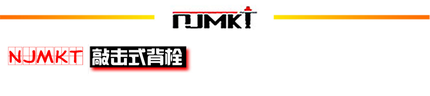 恒盛316不锈钢敲击式背栓首标