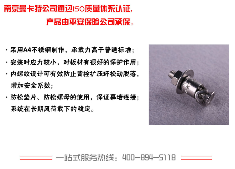 恒盛316不锈钢敲击式背栓