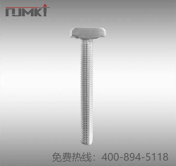东莞恒盛预埋槽道用T形螺栓