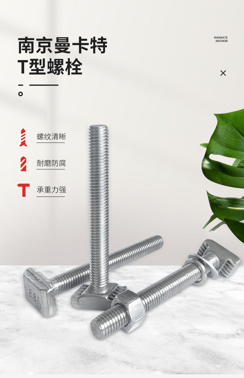东莞恒盛预埋槽道用T形螺栓 (1)
