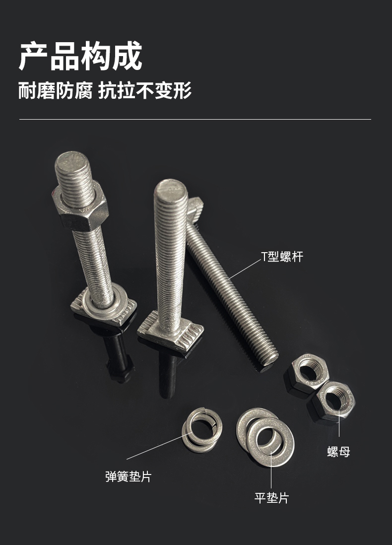 东莞恒盛预埋槽道用T形螺栓 (3)