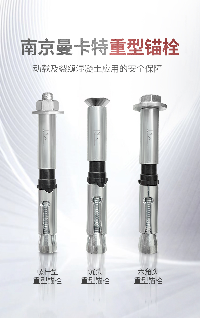 东莞恒盛重型锚栓 (1)