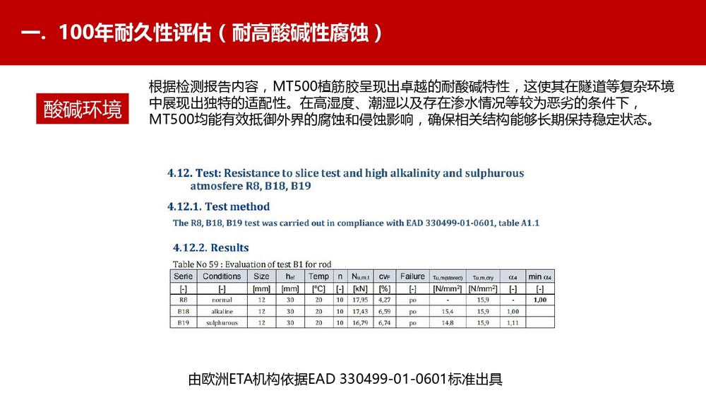 让隧道使用年限100年的东莞恒盛植筋胶(23)
