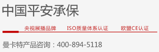 恒盛碳纤维布加固东莞浦口人民政府抬头